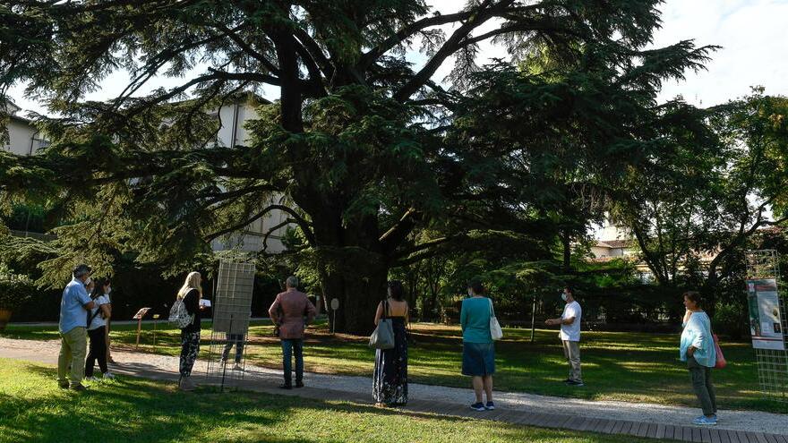 Comune, 27 assunzioni nel 2023: informatici e addetti all’Orto botanico