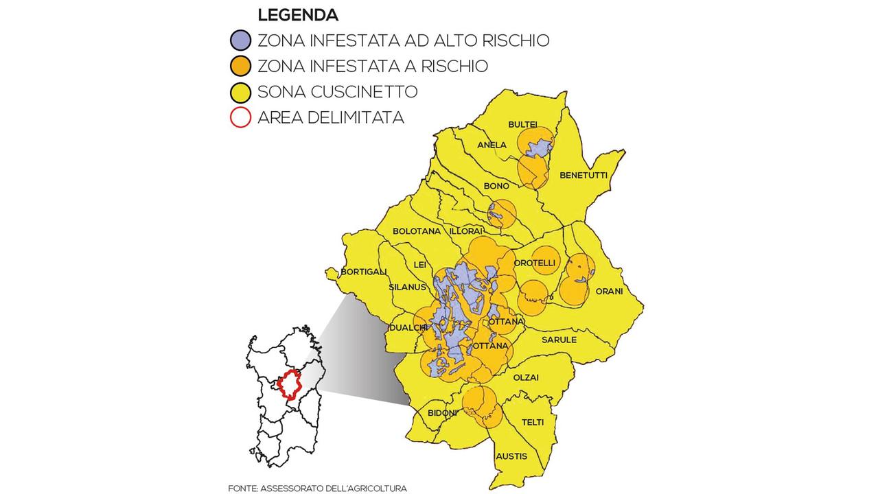Cavallette, all'inizio di marzo scatterà la controffensiva