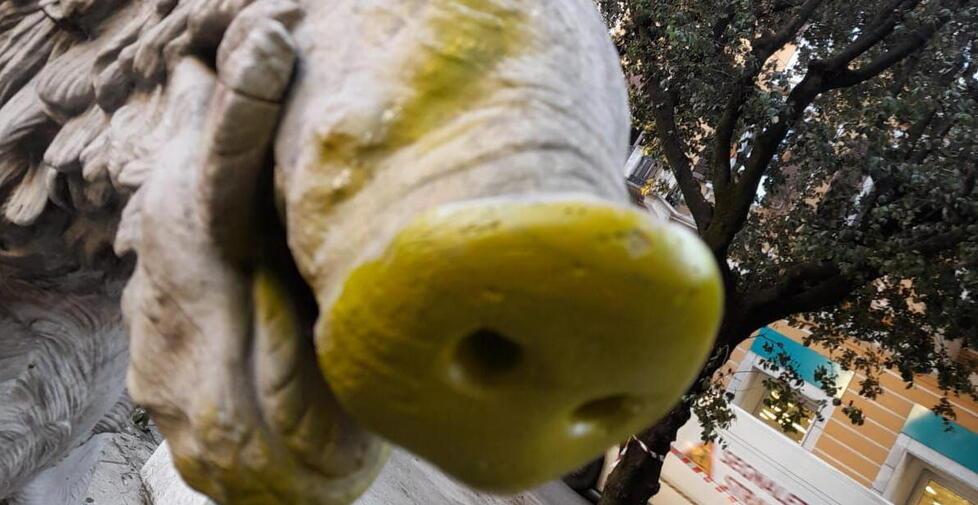 Vandali si accaniscono contro la statua del cinghiale in piazza Matteotti a Carrara: staccata una parte di orecchio