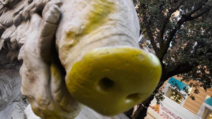 Vandali si accaniscono contro la statua del cinghiale in piazza Matteotti a Carrara: staccata una parte di orecchio