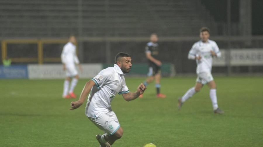 Ragatzu in azione (foto vanna sanna)