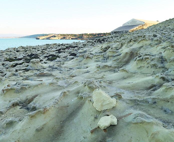 A Balai col martello a caccia di fossili: turista francese bloccato dai carabinieri