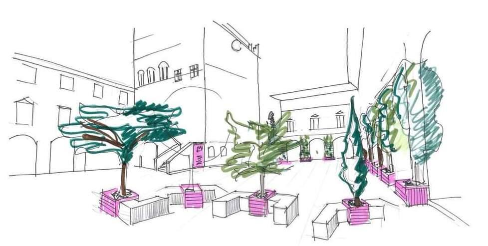 Cipressi, tigli e ginkgo biloba: piazza del Comune si fa green