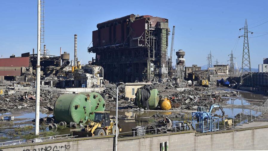 Nella vecchia acciaieria di Piombino fatta a pezzi c’è uno stagno tra i cumuli di ferro