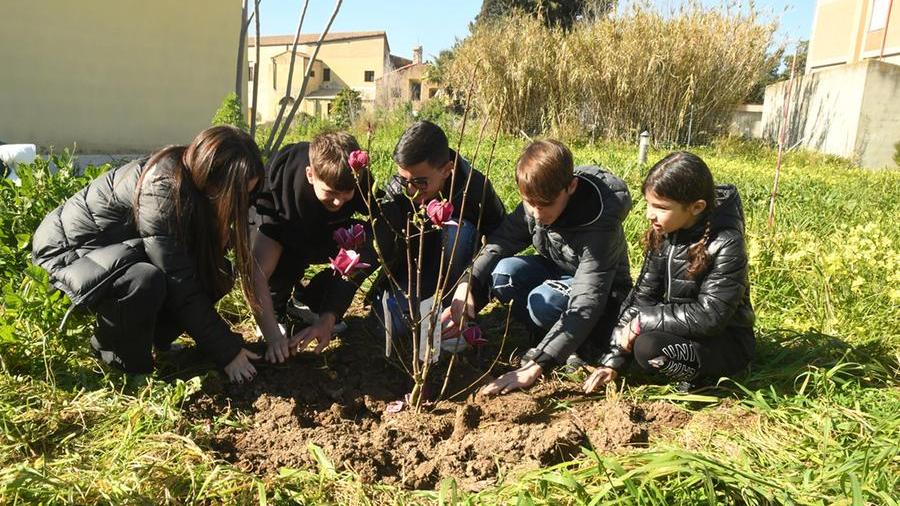 Gli ex alunni di maestra Gianna mettono a dimora nuove piante nel giardino dell'Hospice