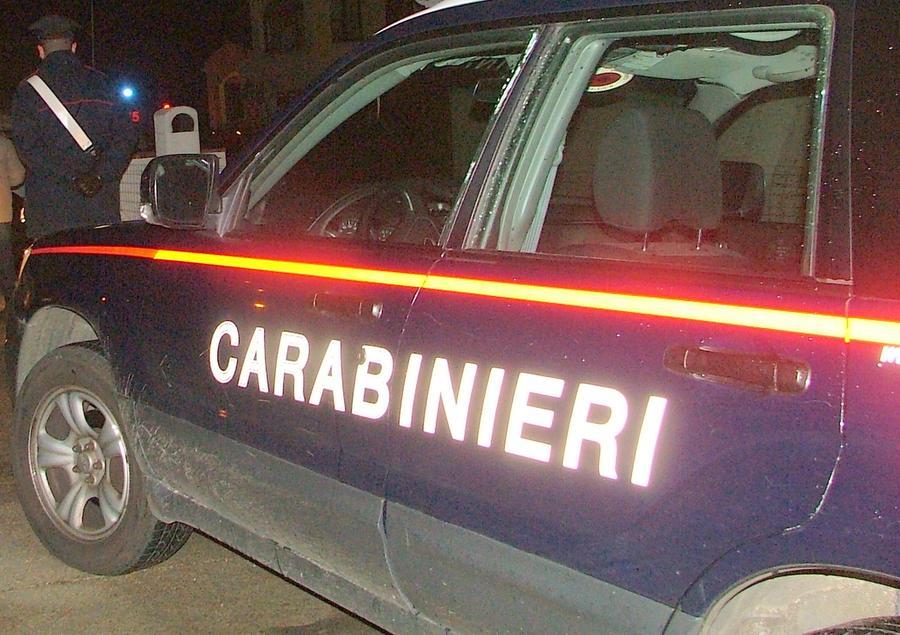 Bultei, uccide un cinghiale a bastonate: 45enne rischia due anni