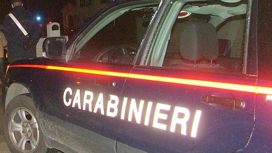 Bultei, uccide un cinghiale a bastonate: 45enne rischia due anni