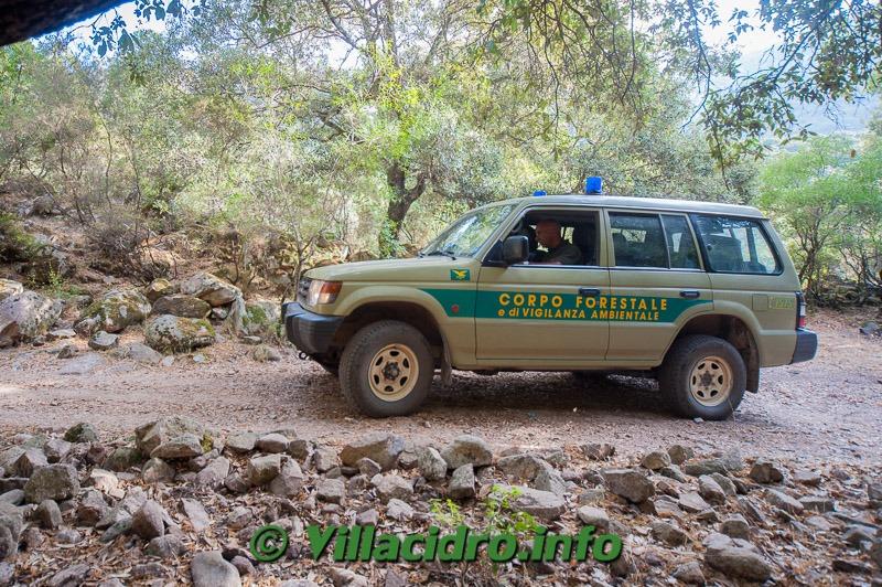 Cade in un dirupo tra i rovi durante una passeggiata: donna di 82 anni se la cava con qualche graffio