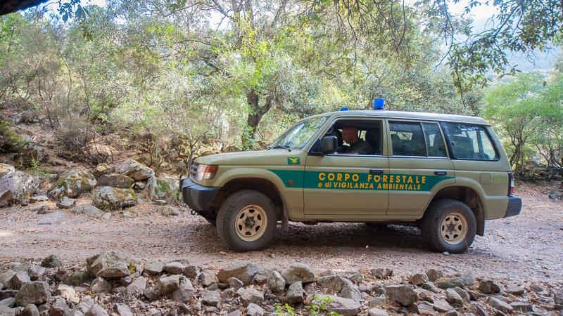 Cade in un dirupo tra i rovi durante una passeggiata: donna di 82 anni se la cava con qualche graffio