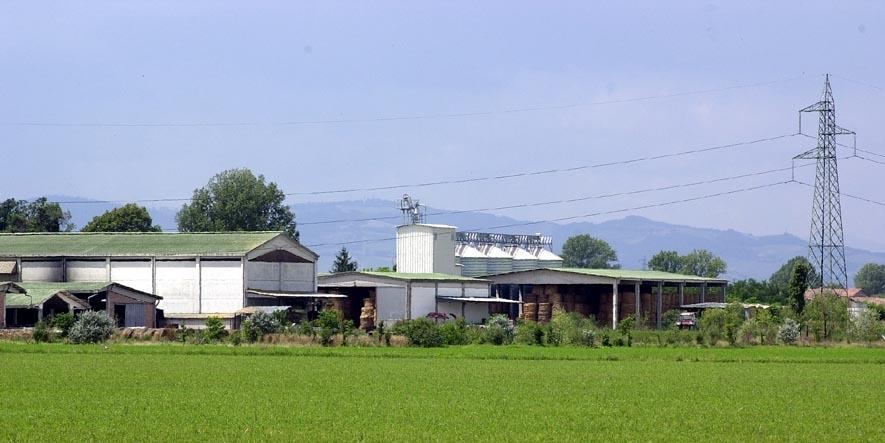 Modena. Azienda agricola Hombre, addio al raddoppio 