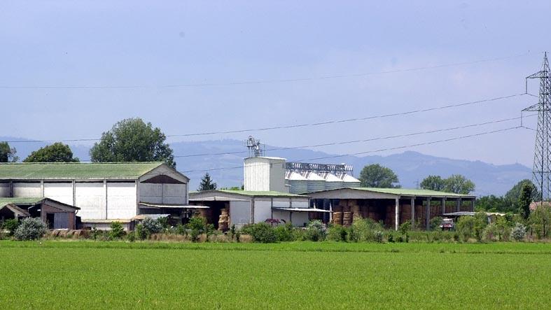 Modena. Azienda agricola Hombre, addio al raddoppio