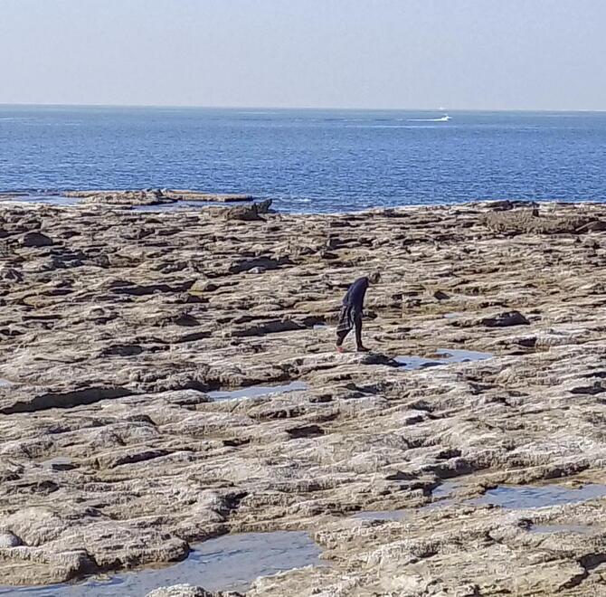 Bassa marea straordinaria a Livorno, scogli scoperti per decine di metri 