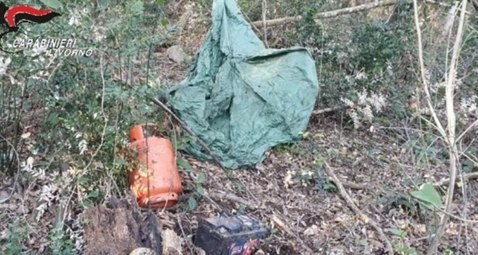 Trovata e smantellata una centrale di spaccio all’interno del bosco