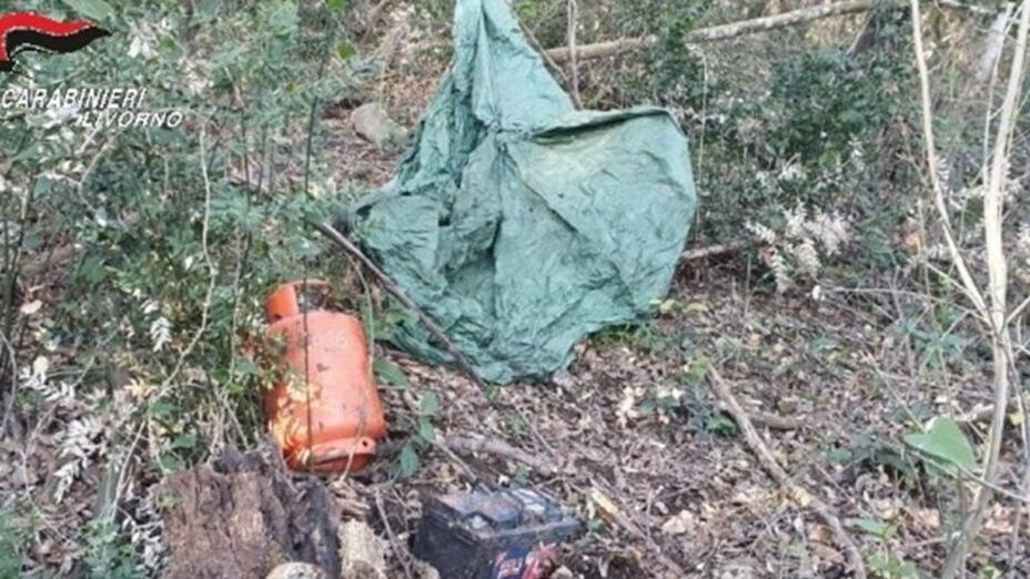 Trovata e smantellata una centrale di spaccio all’interno del bosco