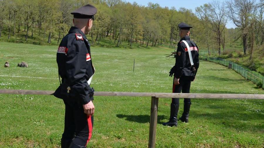 Tagliano alberi in un terreno privato e bruciano la legna nel camino di casa: denunciati a San Vito due fratelli e la madre 80enne