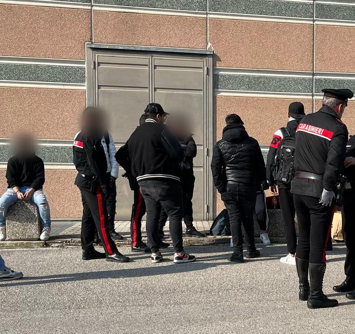 Ferrara, banda di ragazzini saccheggia i negozi