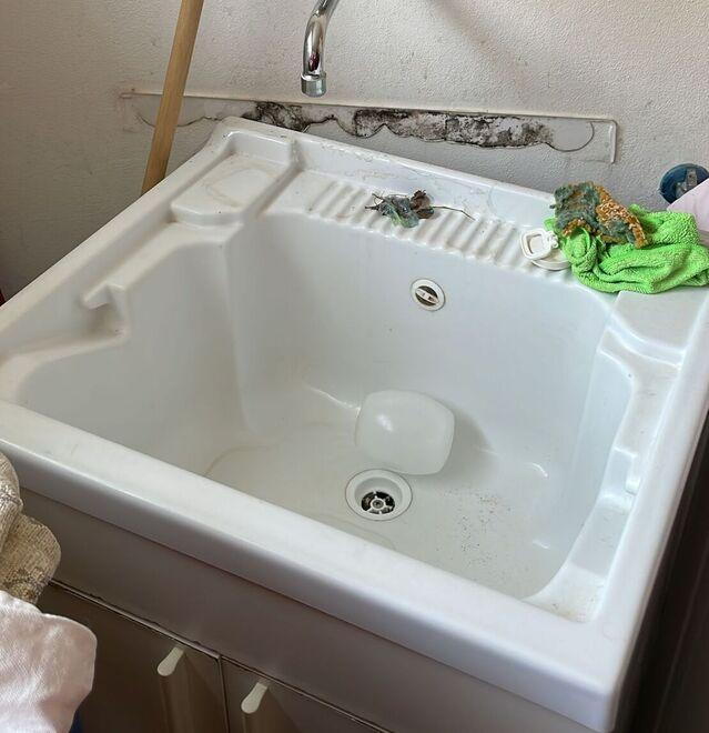 Ferrara, entrano in casa e sfasciano tutto: «Rubata pure la fede nuziale»