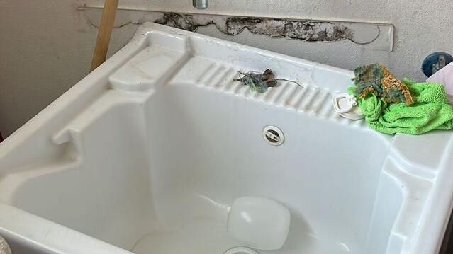 Ferrara, entrano in casa e sfasciano tutto: «Rubata pure la fede nuziale»