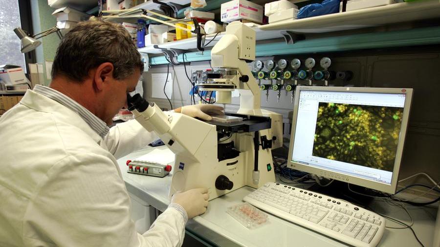 Pandemie ipotetiche, evitiamo allarmi