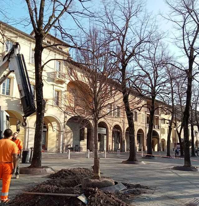 Nascono in città le microforeste per migliorare la qualità dei parchi