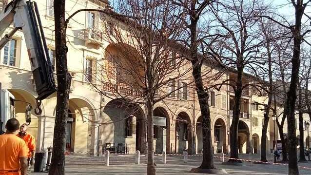 Nascono in città le microforeste per migliorare la qualità dei parchi