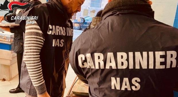 Controlli dei Nas in Venezia, chiuso un locale per scarsa igiene
