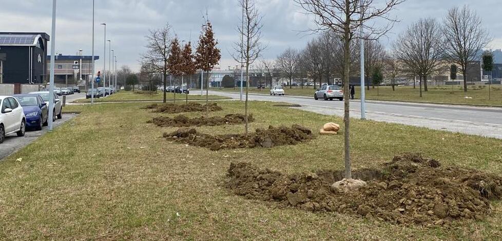Un polmone verde per il Cuoio con l’arrivo di 454 nuovi alberi