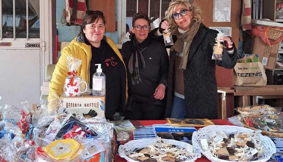 Colonie feline, Carpi è terza in Italia  «90 chilometri al giorno per sfamarli»