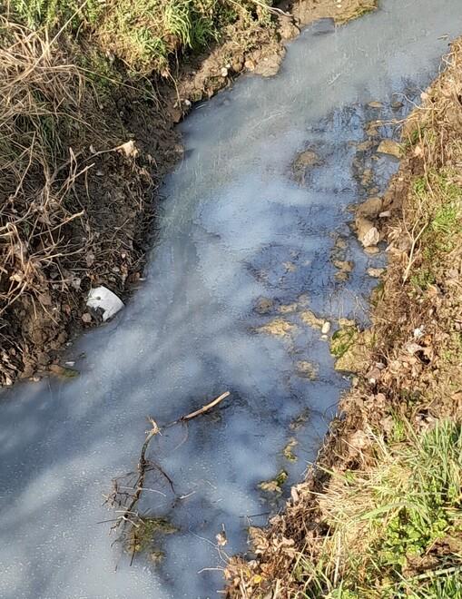 Formigine «Acqua torbida nel torrente: intervenite» 