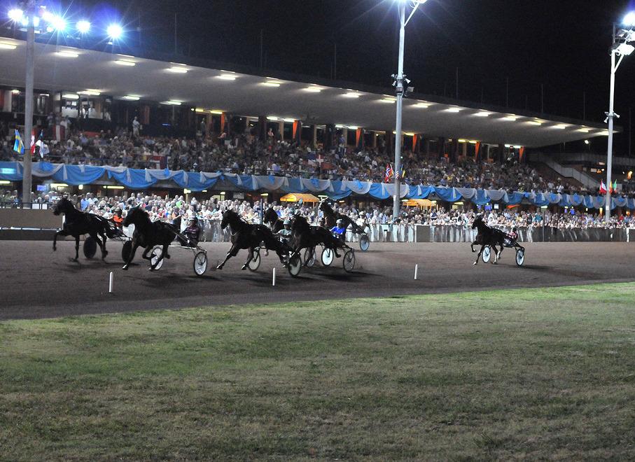 Ippodromo di Montecatini, appello del sindaco: «Diventi centro di allenamento»