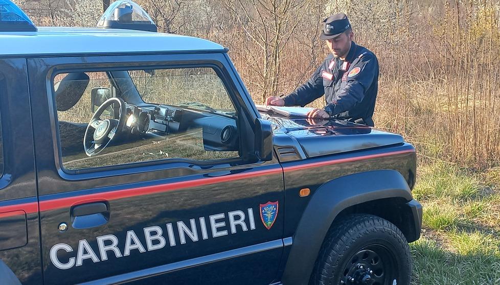 Ro Ferrarese, sbranato un cane bassotto