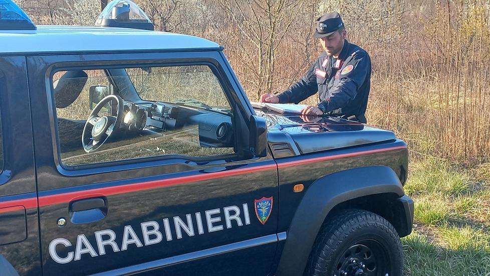 Ro Ferrarese, sbranato un cane bassotto