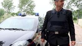 Comacchio, rubano due trattori da un’azienda: agricoltori in ansia