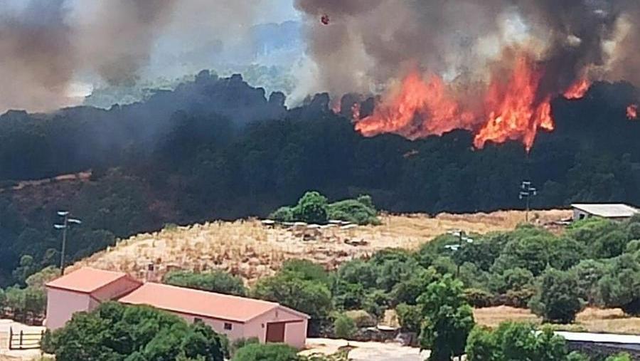 L'incendio che nel luglio 2021 devastò il Montiferru