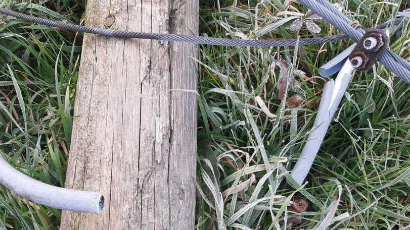 Bondeno.Tranciati i cavi di fibra ottica, vandali alla Casa della Salute