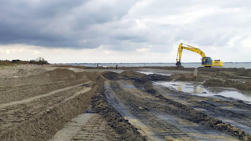 Lido Volano. Tempi stretti per il ripascimento. Il fratino deve iniziare a fare il nido