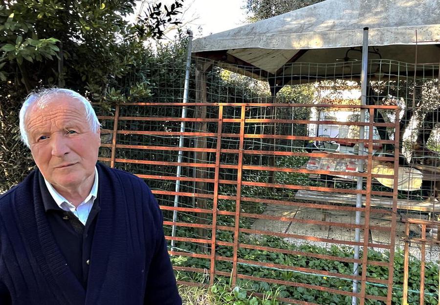 
	Don Armellin, esasperato dalla lotta quotidiana contro le feci dei gatti&nbsp;

