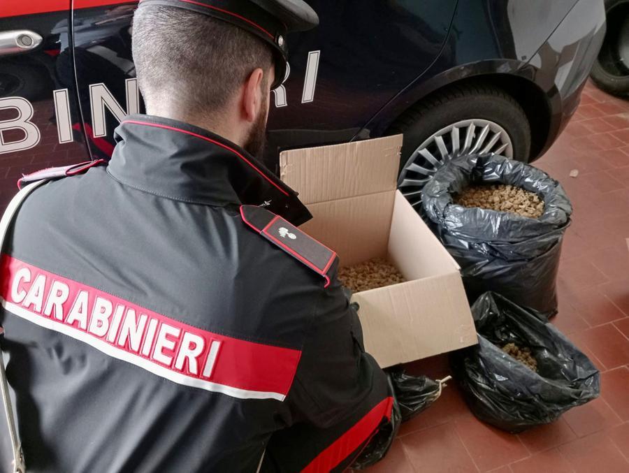 Blitz nel casolare occupato abusivamente: saltano fuori cinque chili di marijuana