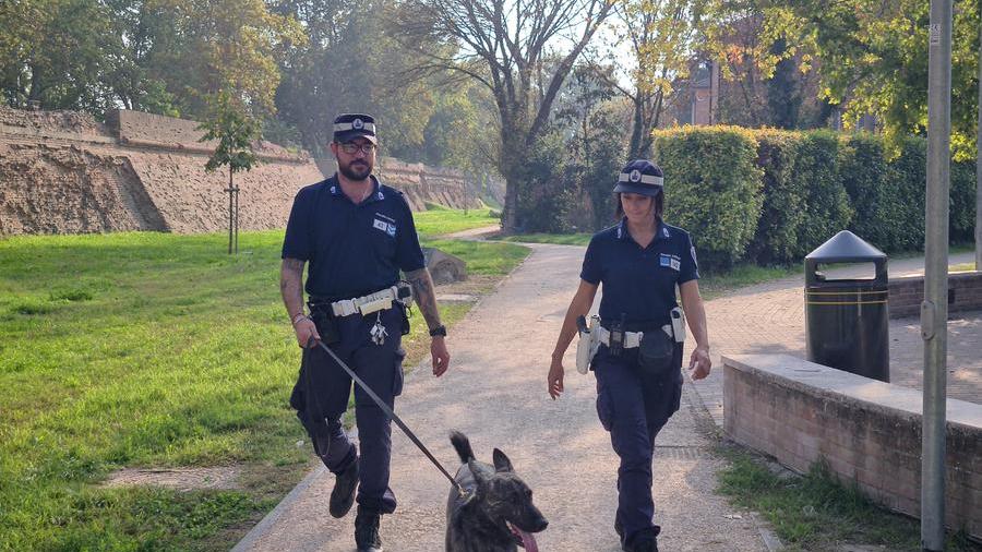 Urinava all’aperto a Ferrara, multa da 175 euro