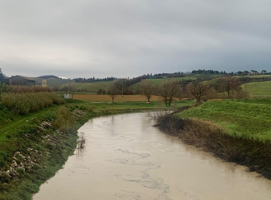 La grande trasformazione dell'ambiente: il fiume toscano e l'invasione delle specie aliene