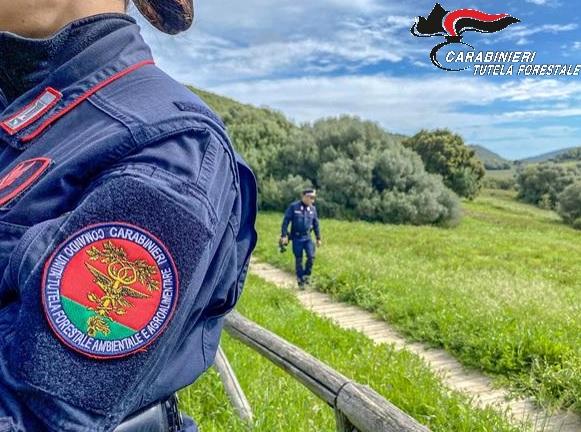 Sfrecciava con la moto da cross nella riserva naturale: multato un 57enne