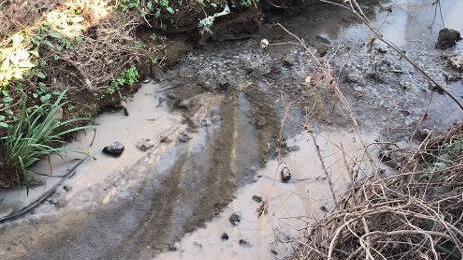 Allarme inquinamento al torrente Stella: coperto dagli scarichi del cantiere