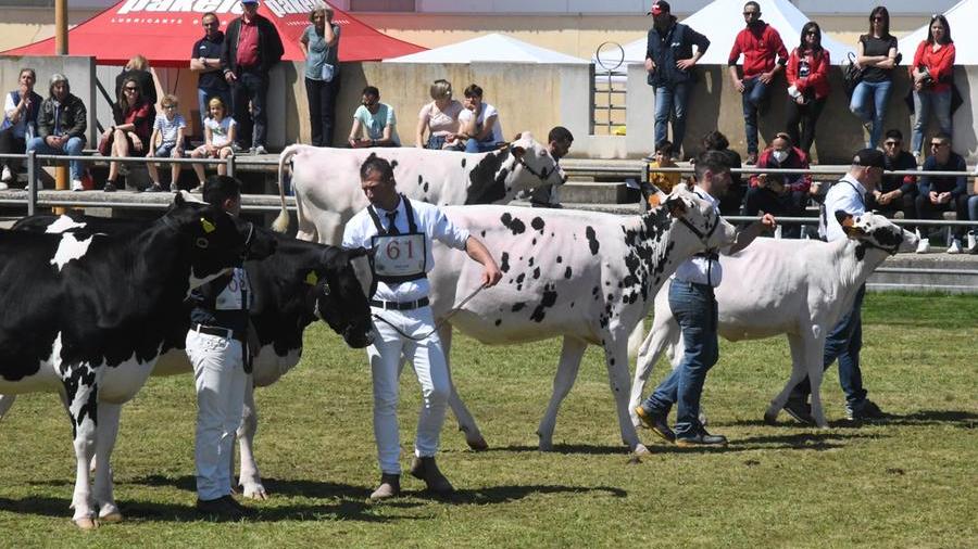 Coinvolti nel progetto anche la Cooperativa Produttori di Arborea