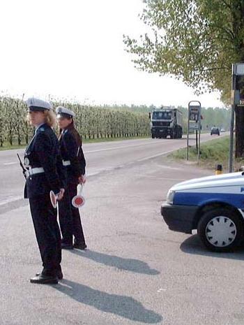 Investito da pirata della strada 