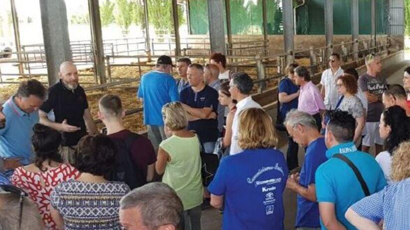 Ferrara, carne sostenibile e controllata: Rizzieri diventa Società Benefit