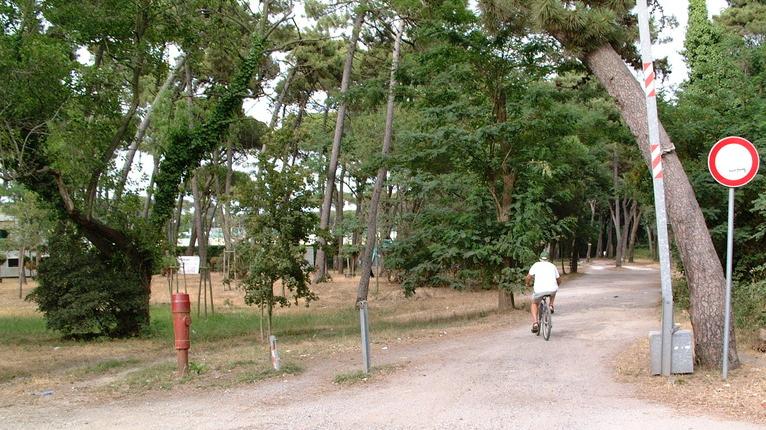 Asse di penetrazione, 10 milioni dalla Regione a studio pronto