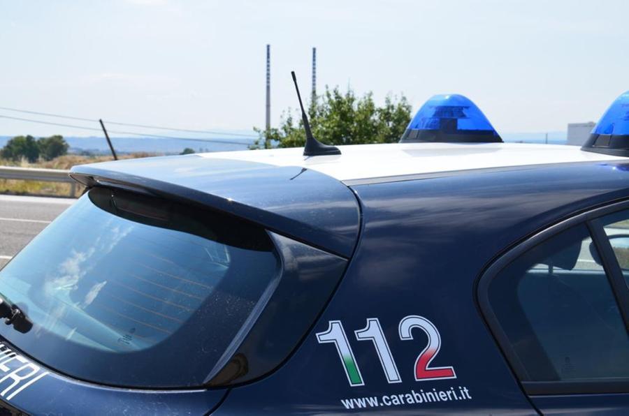 Controlli nel Nuorese: pecore rubate o falsamente denunciate come smarrite, nei guai 5 allevatori