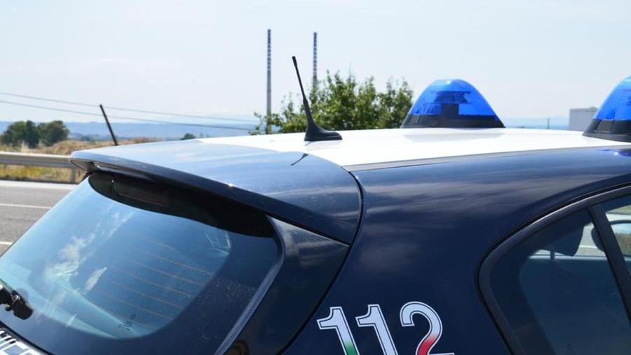 Controlli nel Nuorese: pecore rubate o falsamente denunciate come smarrite, nei guai 5 allevatori