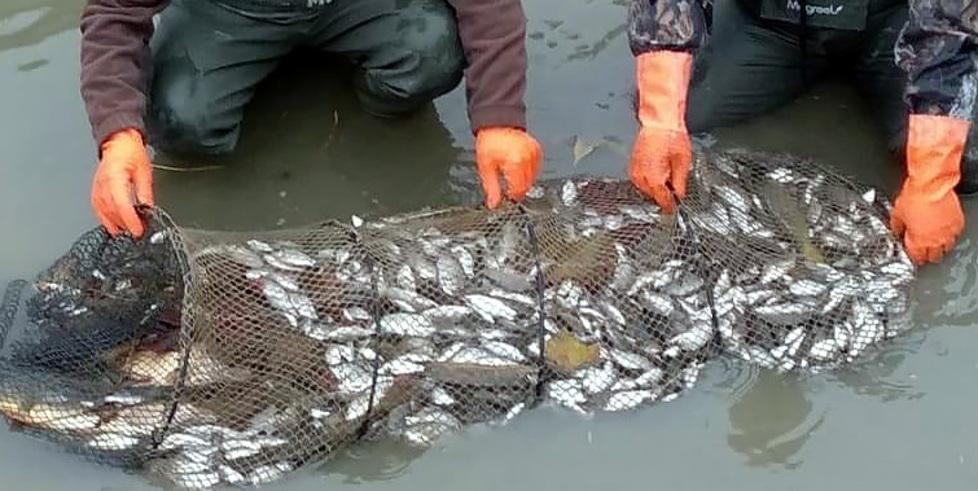 Campotto, bracconieri sorpresi e fermati