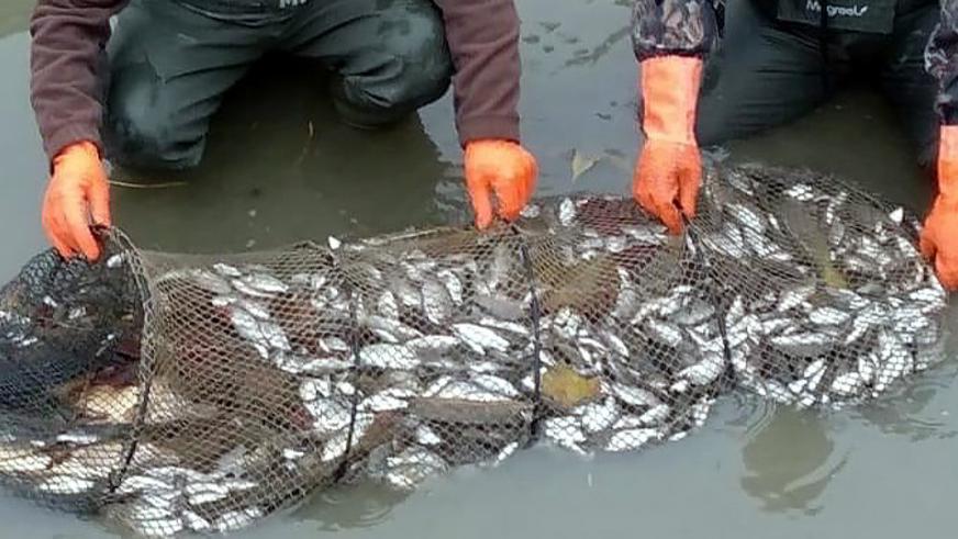 Campotto, bracconieri sorpresi e fermati
